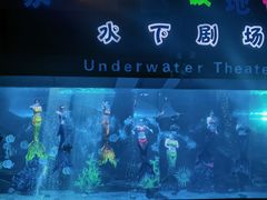 -泉城欧乐堡海洋极地世界