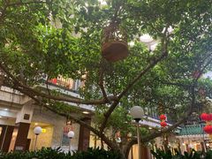 -广州酒家(文昌总店)