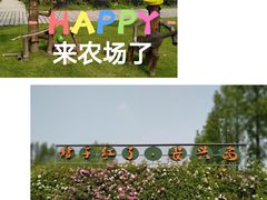 -前小桔亲子创意农场·草莓采摘·露营烧烤