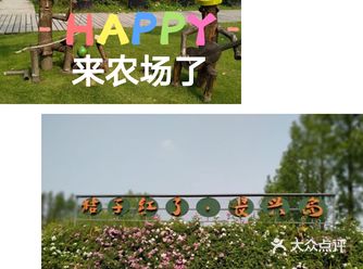 城市里长大的宝宝，对农场天生的喜爱，俩个宝贝最喜欢挎