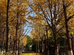 -东钱湖旅游度假区