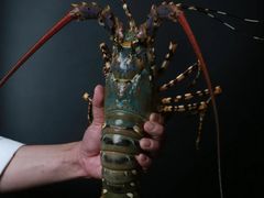 -西村日本料理(香格里拉饭店)