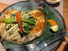 -雀舞云南菜(乐客城店)