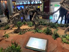 -自贡恐龙博物馆