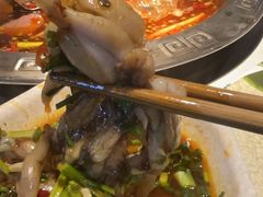 -川江渔府火锅(学府路直营店)