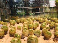 -广东茂名森林公园