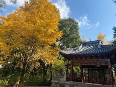 -汇龙潭