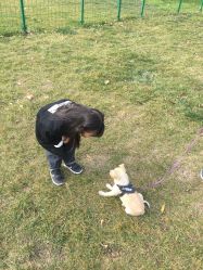 -萌宠亲子动物乐园(槐房万达店)