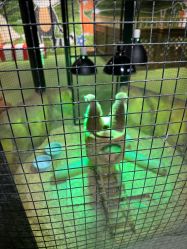 -酷嗒动物文化乐园(cutezoo西溪乐天城店)