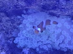 -常州海昌海洋探索馆