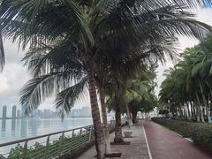 -万绿园