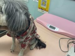 -嘉馨宠物医院·CT影像转诊·心脏科·犬猫全科诊疗中心(下沙大学城院区)