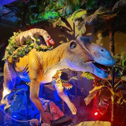 -恐龙探索乐园(磁器口店)