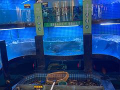 -千岛湖小鱼儿·淳安匠心农家菜