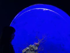 -江和美海洋公园