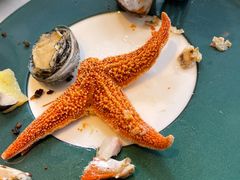 -盛宴自助餐厅(运达喜来登店)