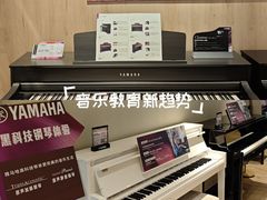 -雅歌音乐培训中心·钢琴培训·乐器培训(交道口店)