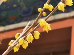 -北京植物园-展览温室