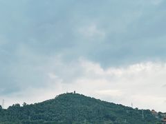 -顺峰山公园