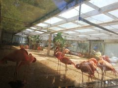 -石家庄市动物园