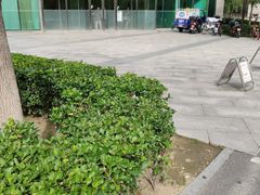 -爱康国宾体检中心(总部基地分院)