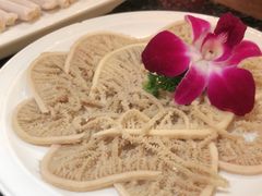 -红鼎坊·老成都火锅(新南门店)