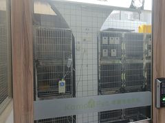 -可蒙动物医院·猫科·骨科中心(首义路店)