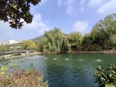 -树山生态村