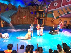 -烟台海昌鲸鲨海洋公园