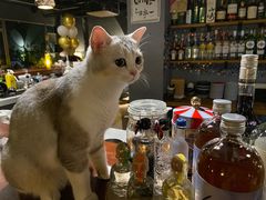 -咖法森林·咖啡  酒吧(天河店)