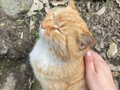 -终南山南五台景区