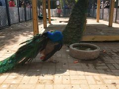 景点-长白岛森林公园