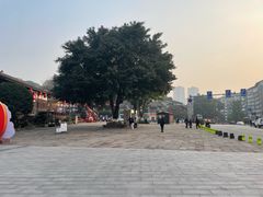 -磁器口古镇