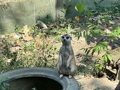 -成都动物园