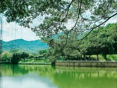 -广州市白云山风景名胜区
