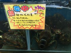 -蚝专家(北滘店)