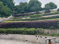 -世纪联华超市(浦电路店)