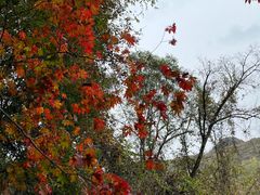 -五女峰国家森林公园