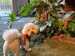 -J Create城市露营咖啡·简餐·宠物(上海动物园店)