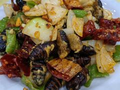 -故乡明太鱼屋(航北路店)