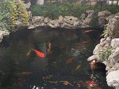 -鲤院·新中式美学·庭院餐厅(夫子庙店)