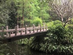 -广州兰圃