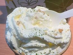 -雾与山茶(大禹城店)