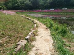 -大塘金香草谷