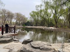 -玲珑塔公园