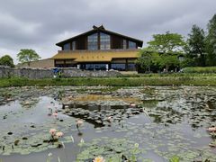 -宁波杭州湾国家湿地公园