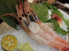 -弓二·烧鸟居酒屋(财富购物中心店)