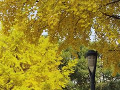 -苏州河梦清园环保主题公园