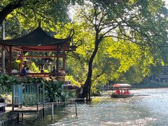 -荔湾湖公园