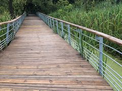 -西湖风景区-江洋畈生态公园